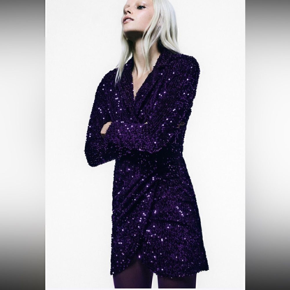 Zara Blazer Dress Size XS